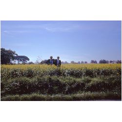 Allen & McQuain Outstanding in their field.jpg